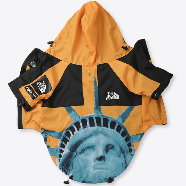 North Face Rain Coat