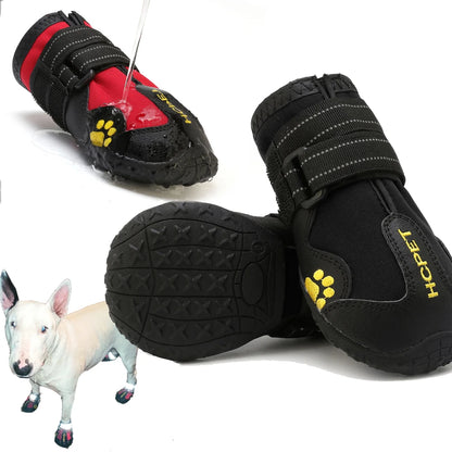 Active Pet Shoes