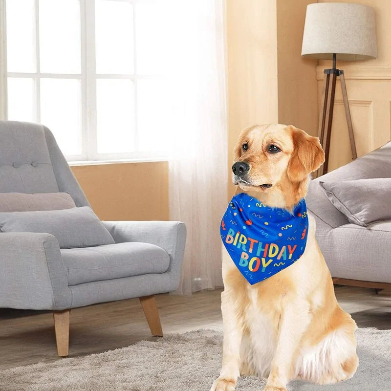 PartyPup Scarf