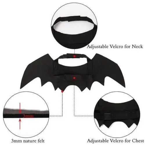 Purrfect Bat Wings