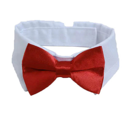 Bow Tie Collar