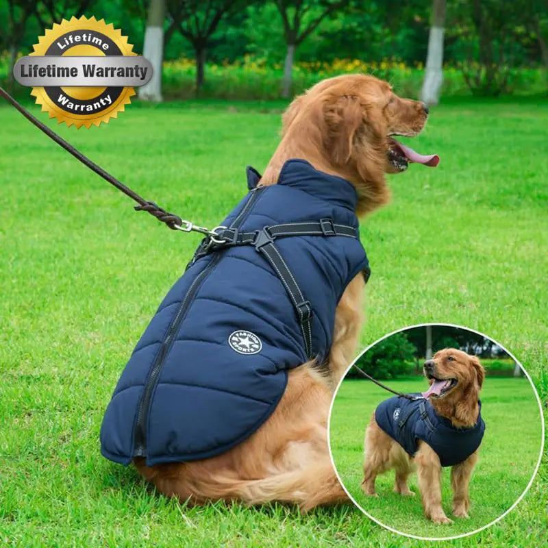 SnowPaw Explorer Jacket