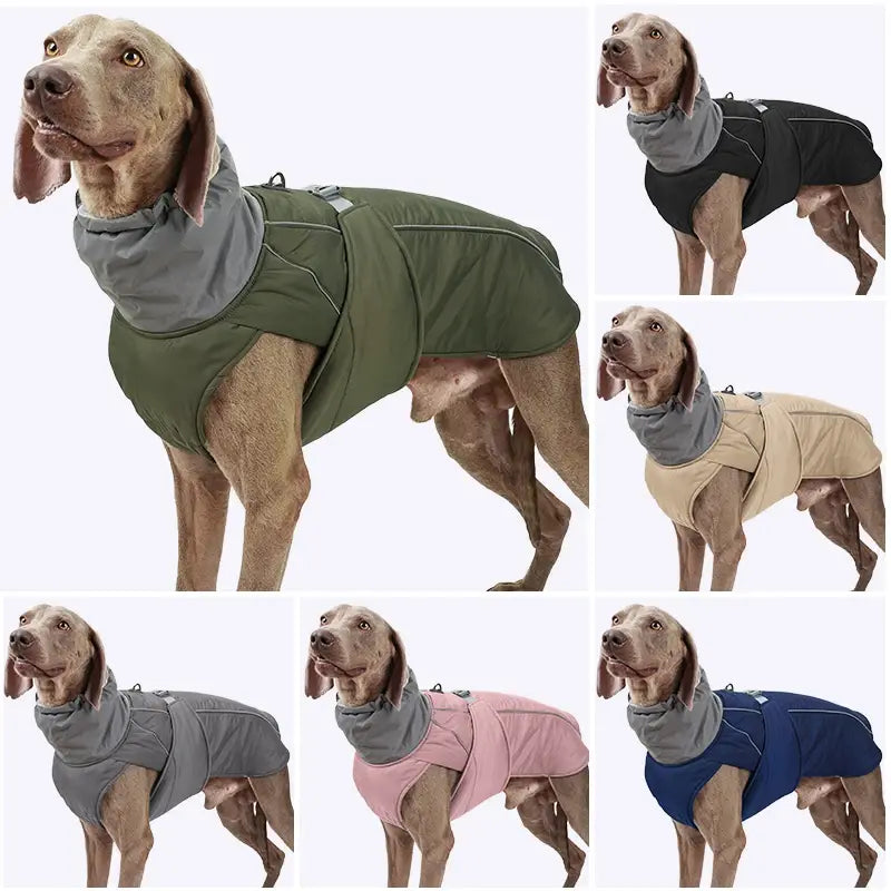 BrrrBark Jacket