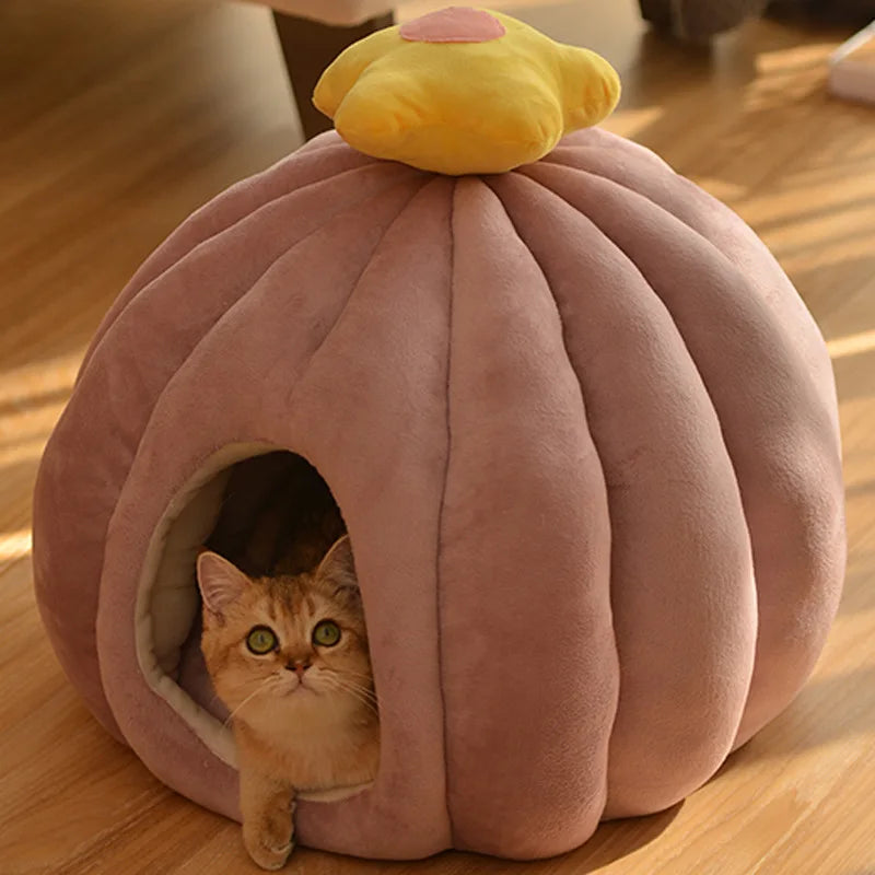 CozyCactus