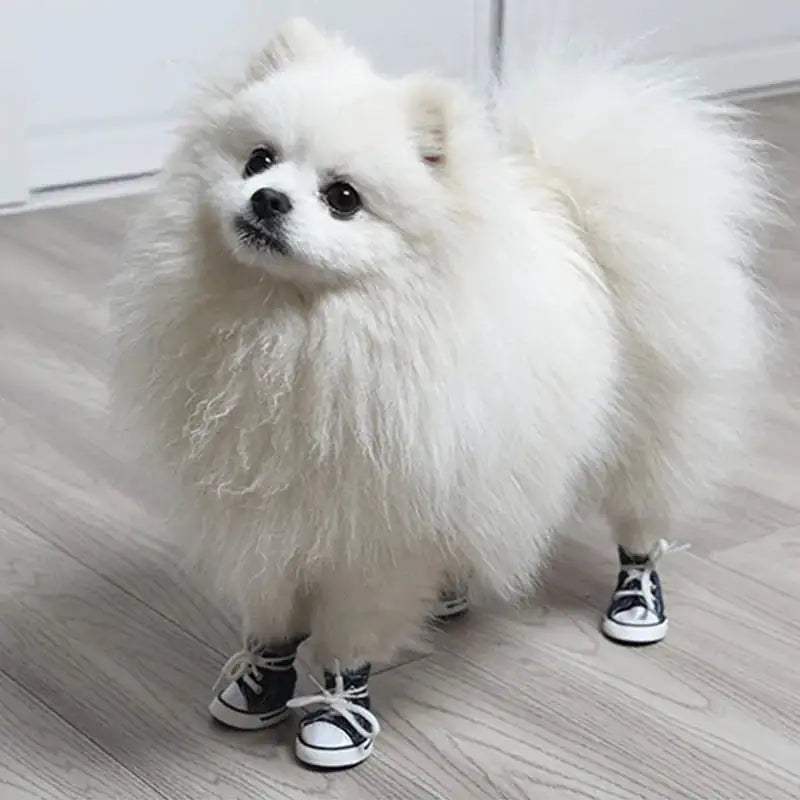 Stylish Sneakers