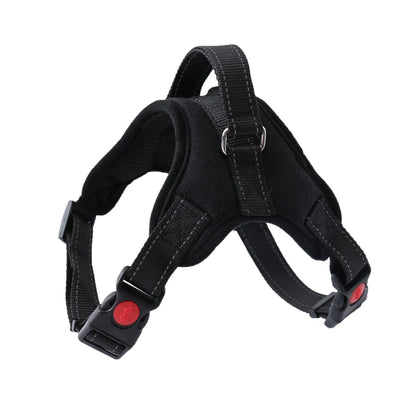 Walking Harness