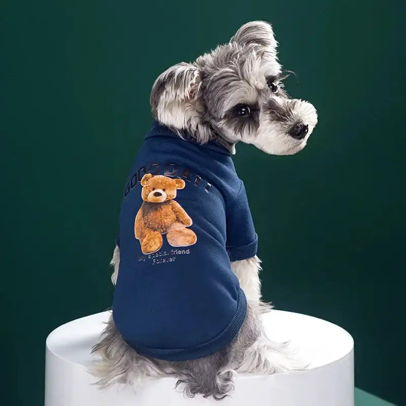The Gentle Bear Pullover