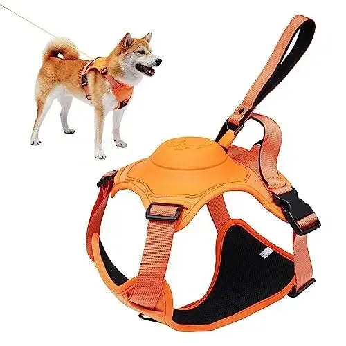 All-in-One Dog Harness Retractable Leash