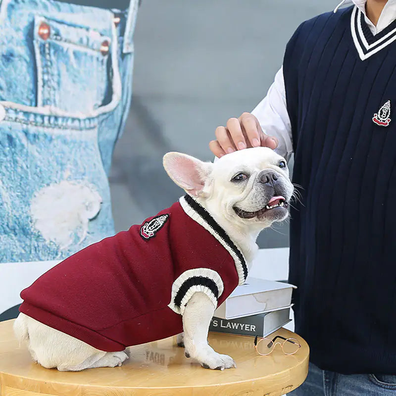 Paw-ty Frat Outfit
