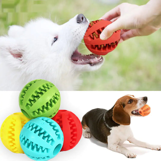 Rubber Ball Chew Toy