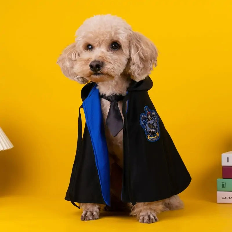 Purrfect Wizard Cloak