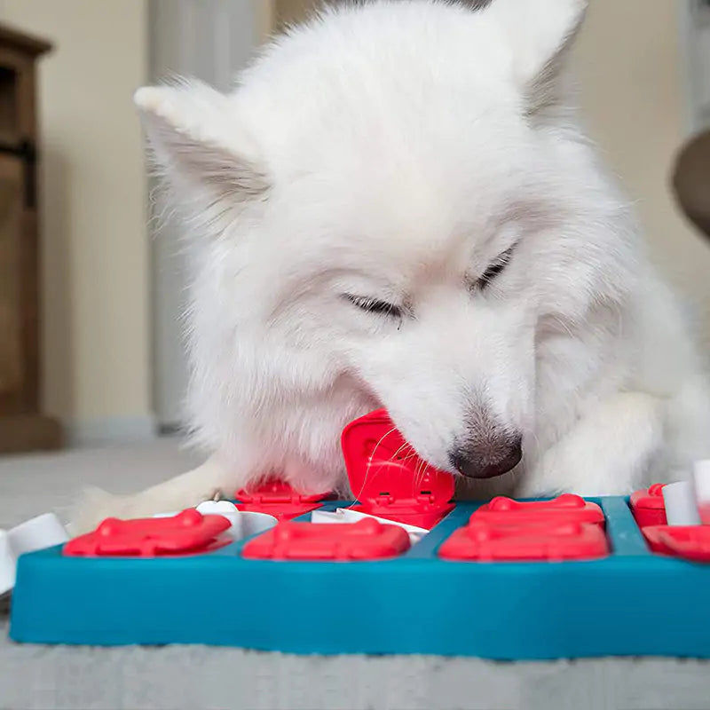 Bark & Seek Box