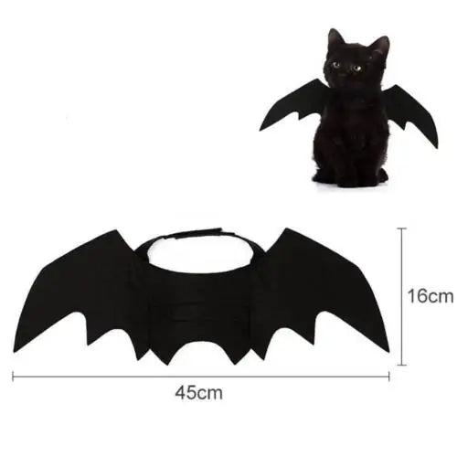 Purrfect Bat Wings
