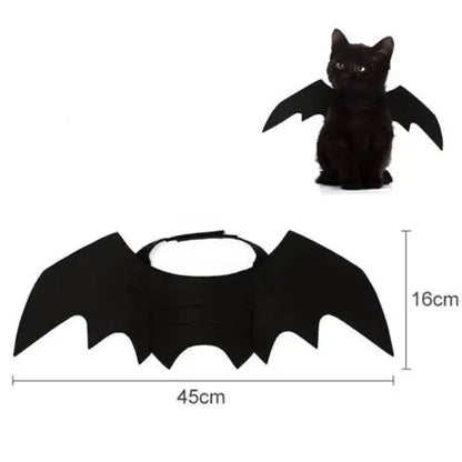 Bat Wing Costume