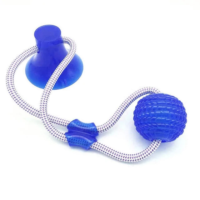 PawHold Toy