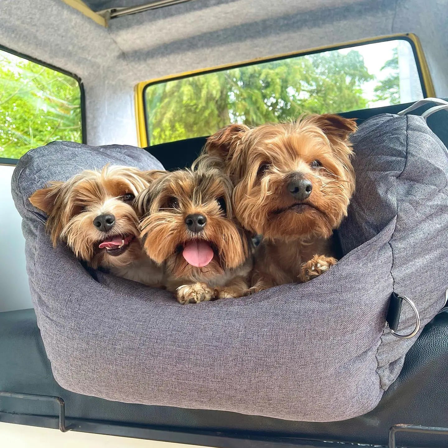 PawJourney Bed