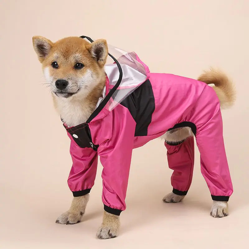 DrizzleGuard