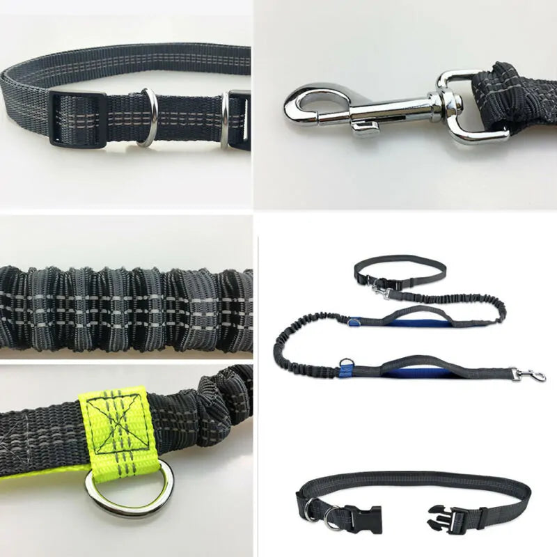 ShineLine Leash