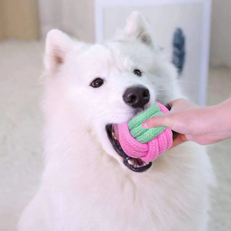 Pawball