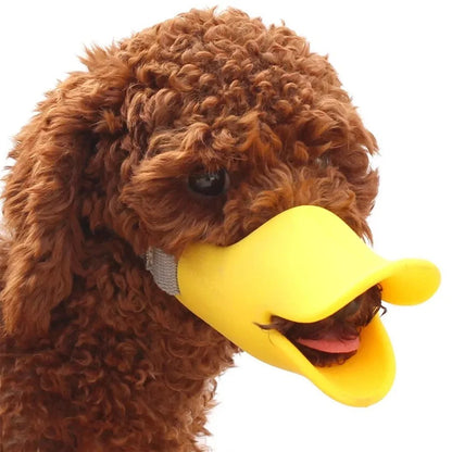 Muzzle Duck Beak