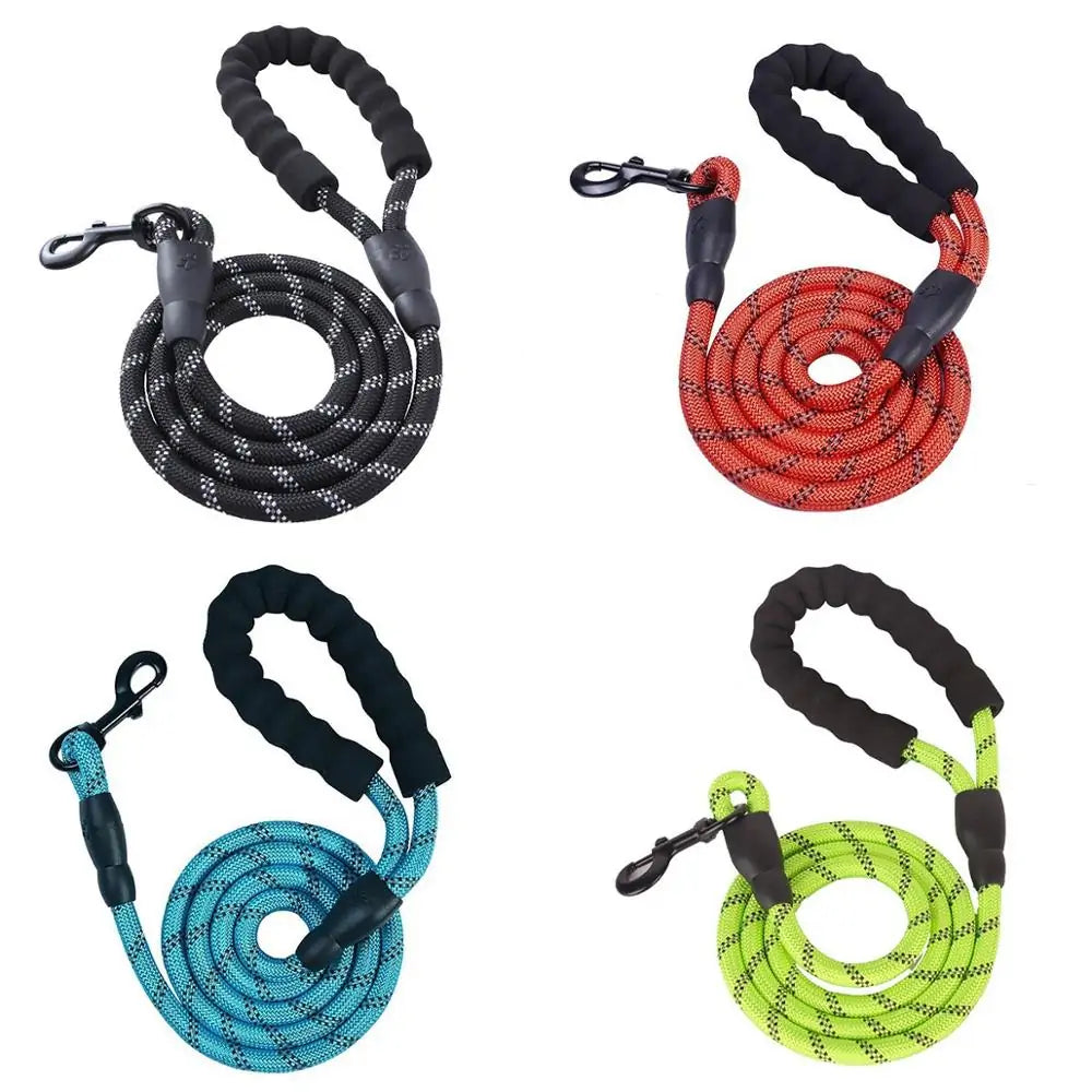 SmartPaws Leash