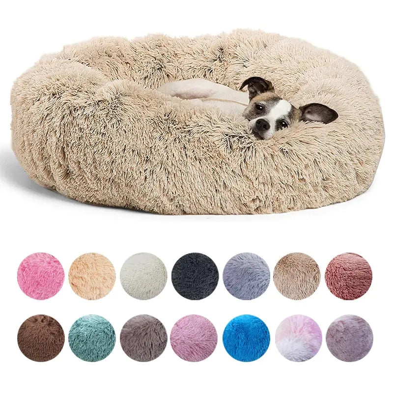 CuddleCloud