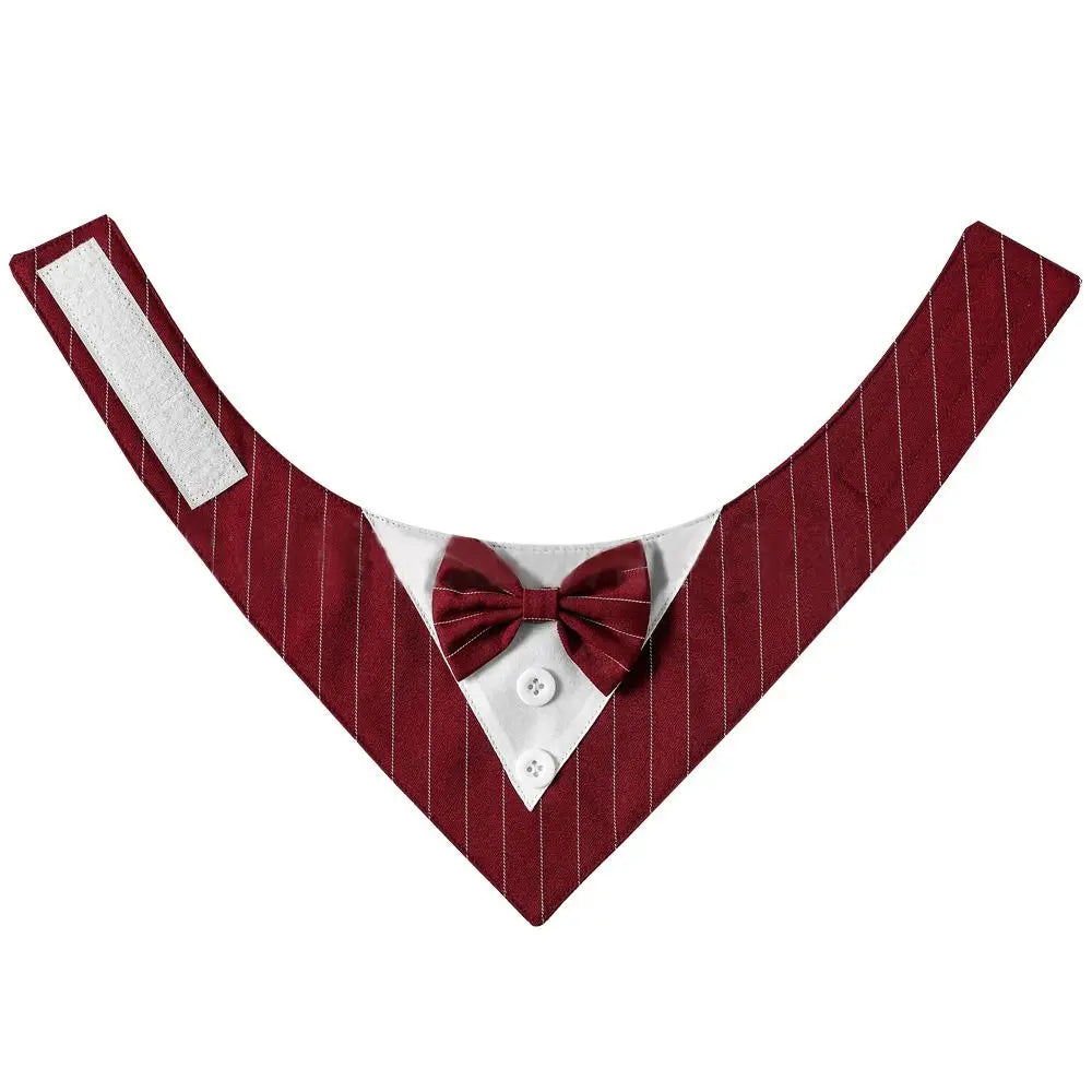 The Gentleman Pup Tie